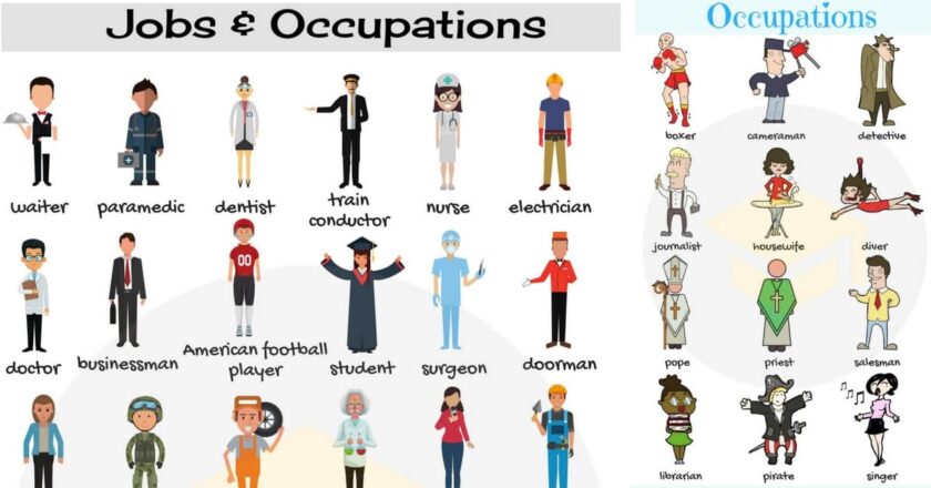 What Are The Different Types Of Occupation?